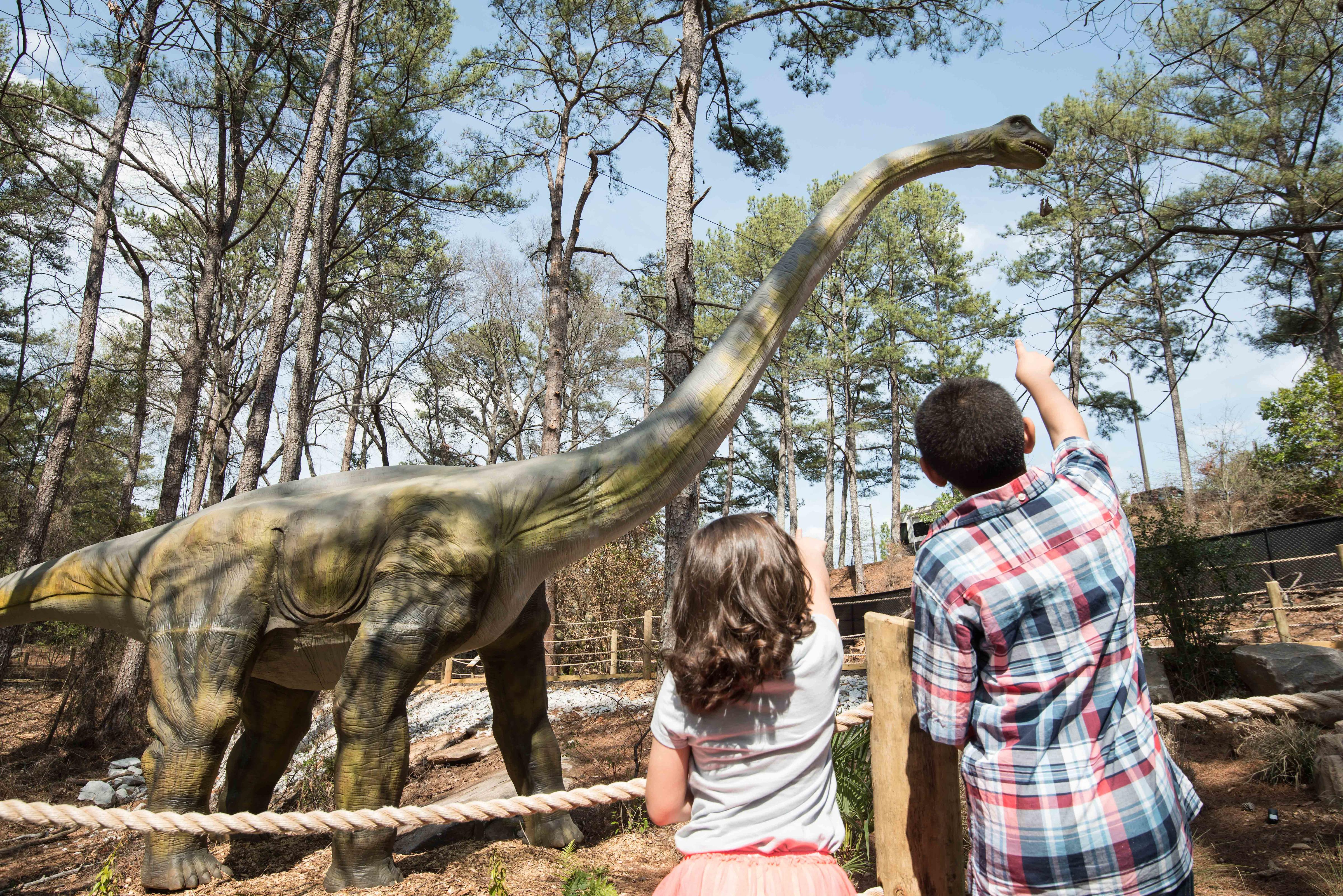 Atlanta Evergreen Lakeside Resort Stone Mountain Esterno foto