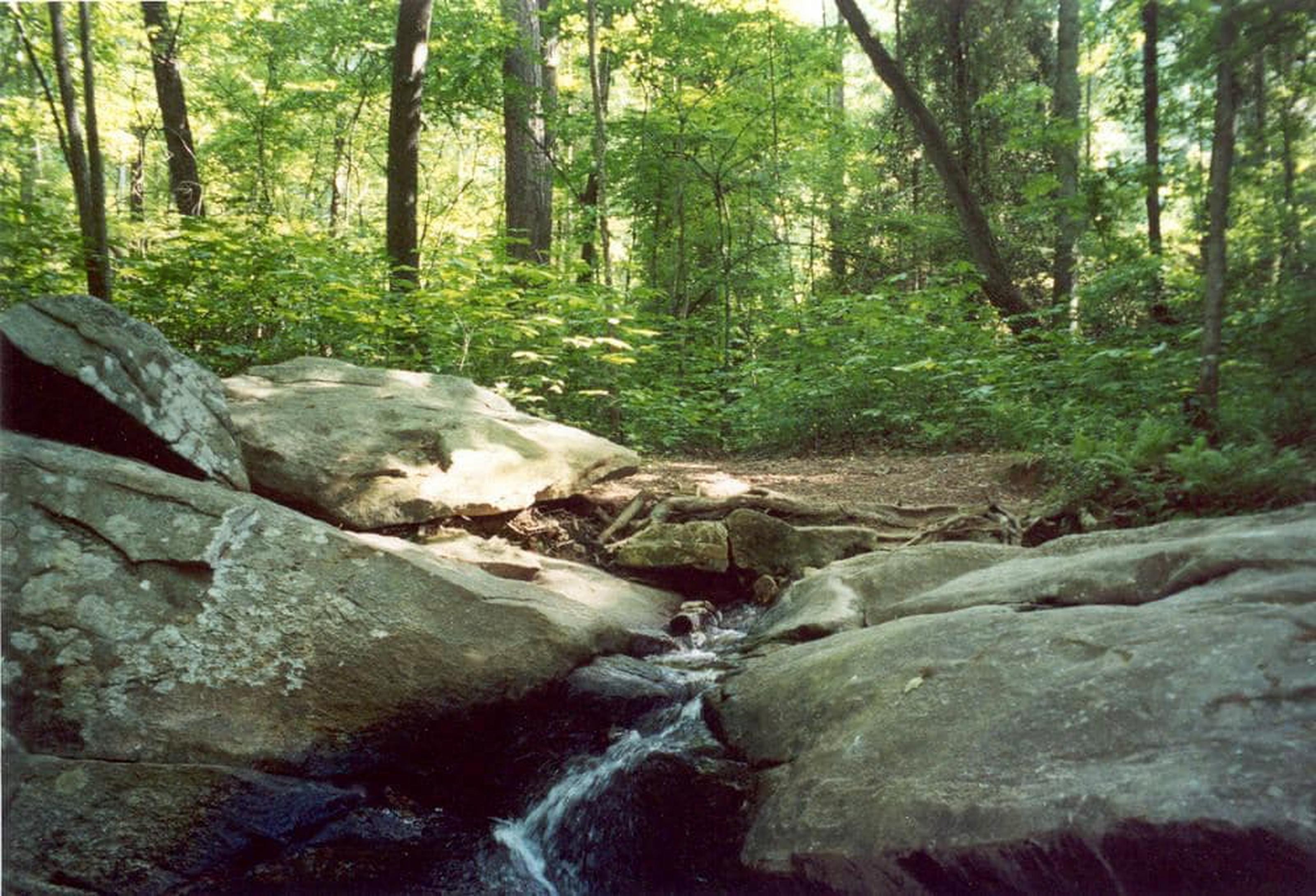 Atlanta Evergreen Lakeside Resort Stone Mountain Esterno foto
